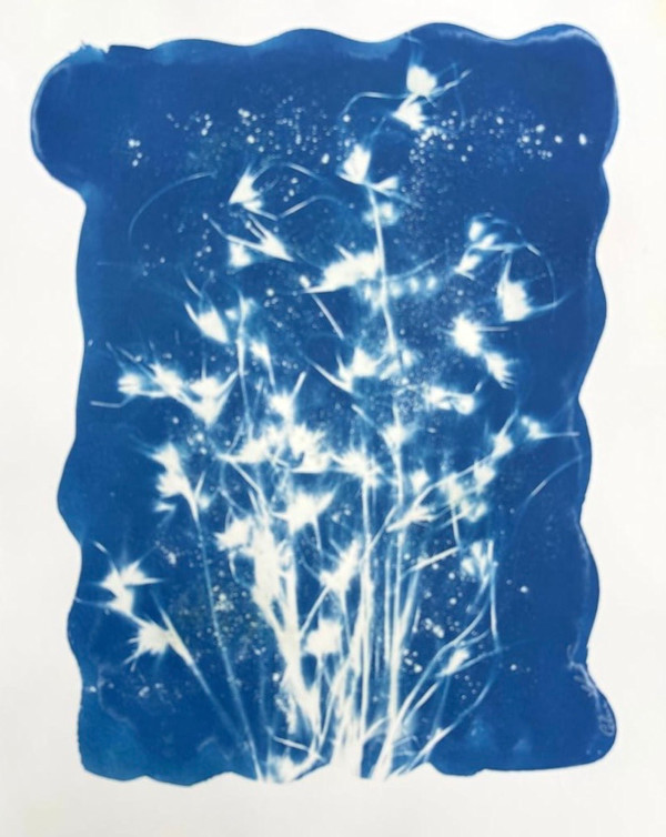 Wild Grass 4 by CELINE LEFORT