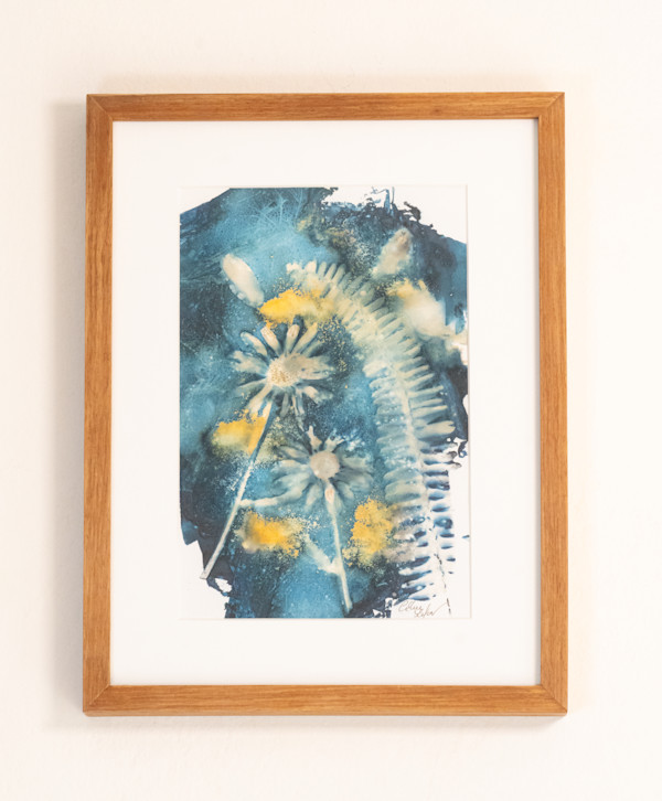 Fern & Margerite by CELINE LEFORT