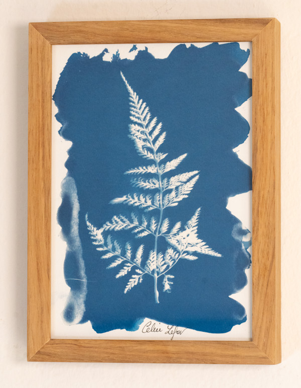 Fern by CELINE LEFORT