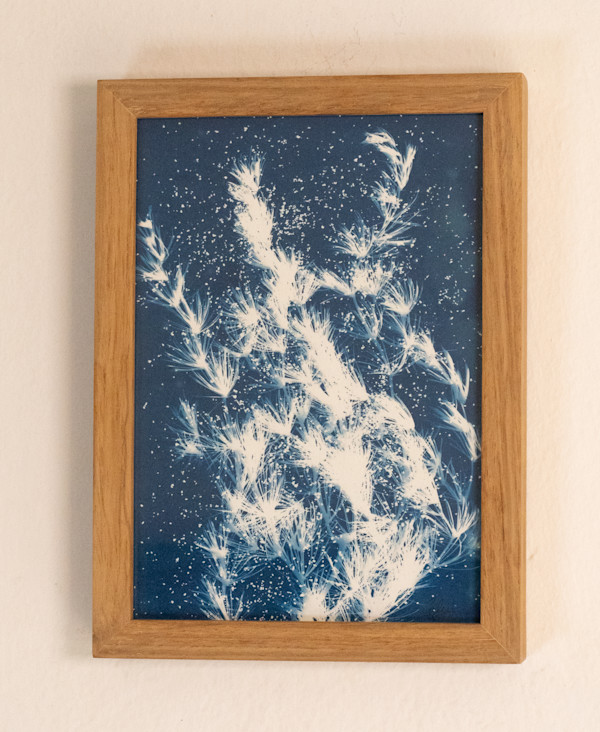 Wild Plant by CELINE LEFORT