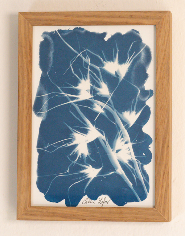 Wild Grass by CELINE LEFORT