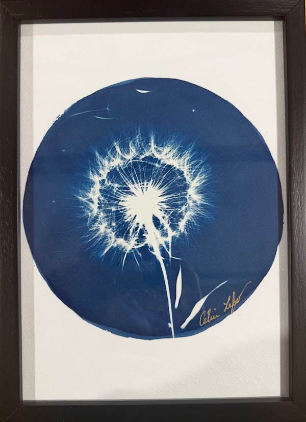 Make a Wish by CELINE LEFORT