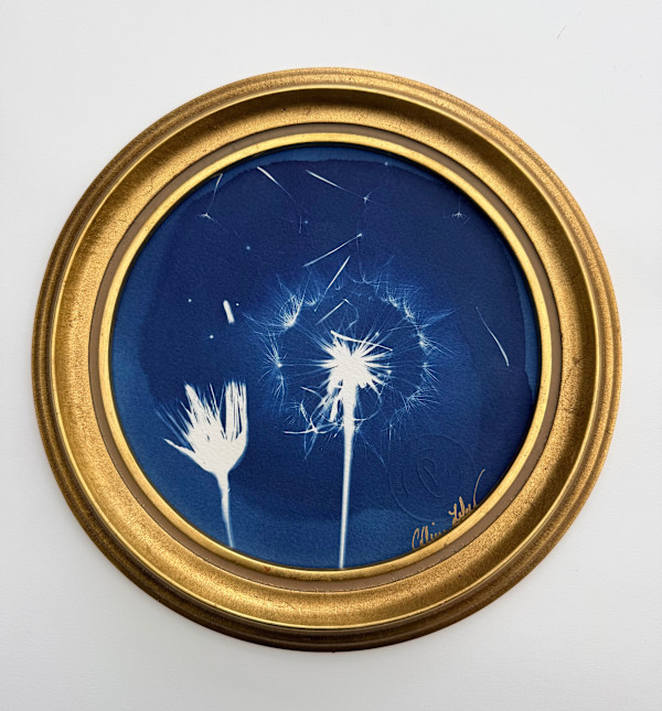 Made a wish by CELINE LEFORT, Image 1.