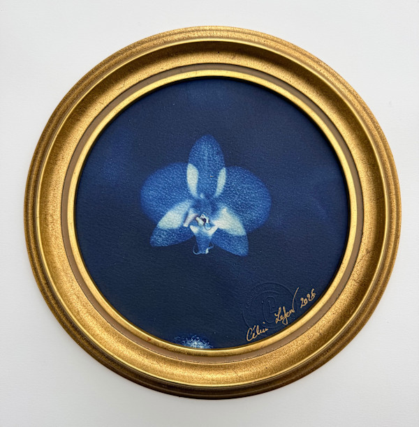 Orchide by CELINE LEFORT, Image 2.