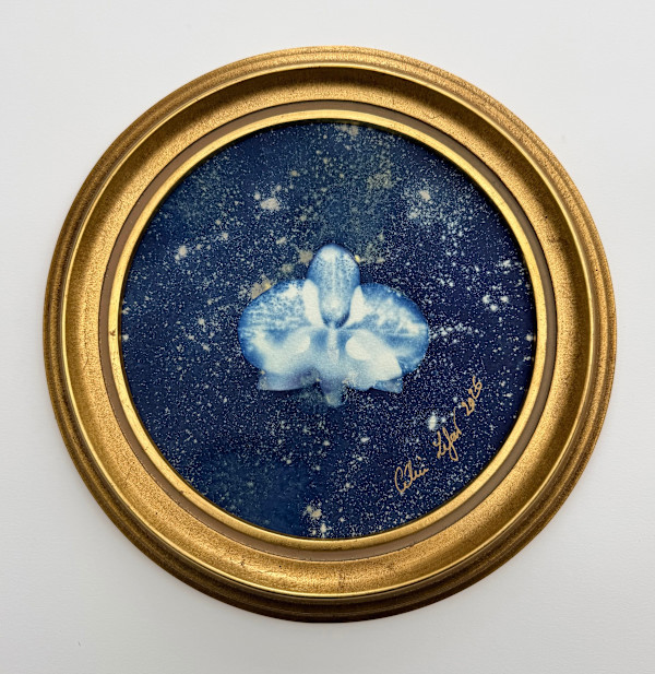 Starry Orchid by CELINE LEFORT, Image 2.