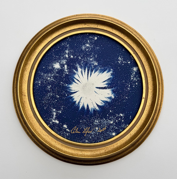 Stary flower by CELINE LEFORT, Image 1.