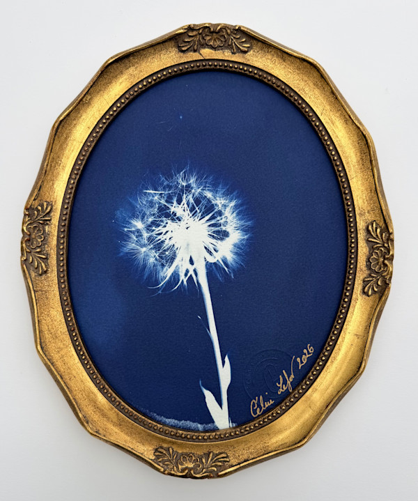 Oval make a wish by CELINE LEFORT, Image 2.