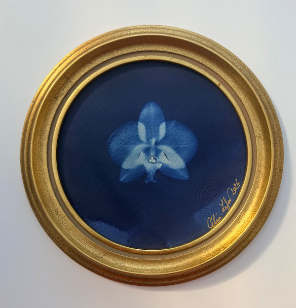 Orchidée by CELINE LEFORT, Image 2.