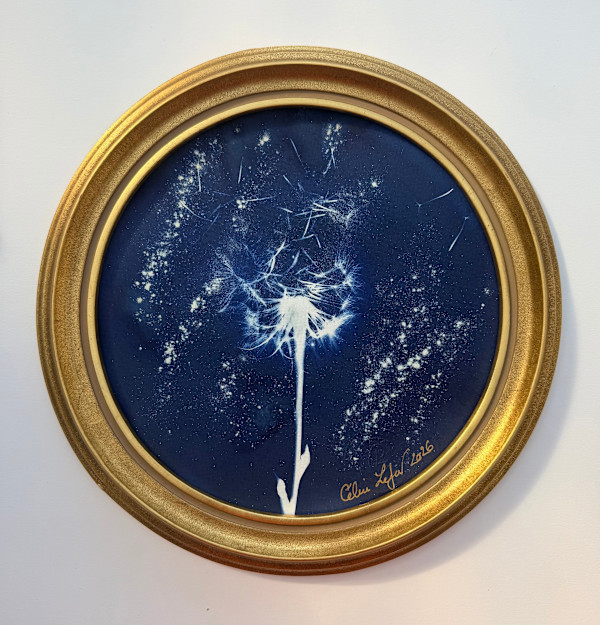 Starry make a wish by CELINE LEFORT, Image 2.