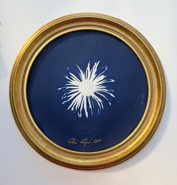 Round flower by CELINE LEFORT, Image 2.