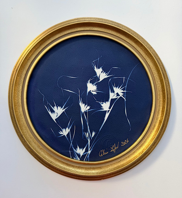 Round wild flowers by CELINE LEFORT, Image 2.