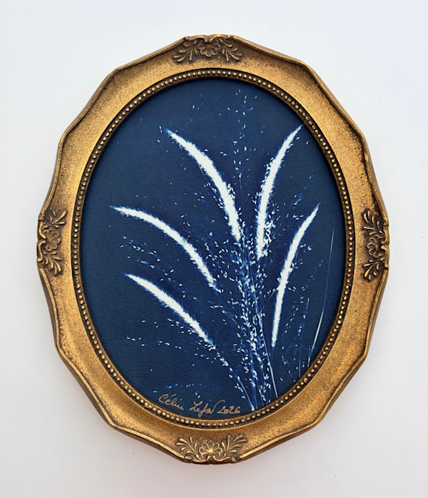 Feather & Delicate Wild Grass by CELINE LEFORT, Image 2.