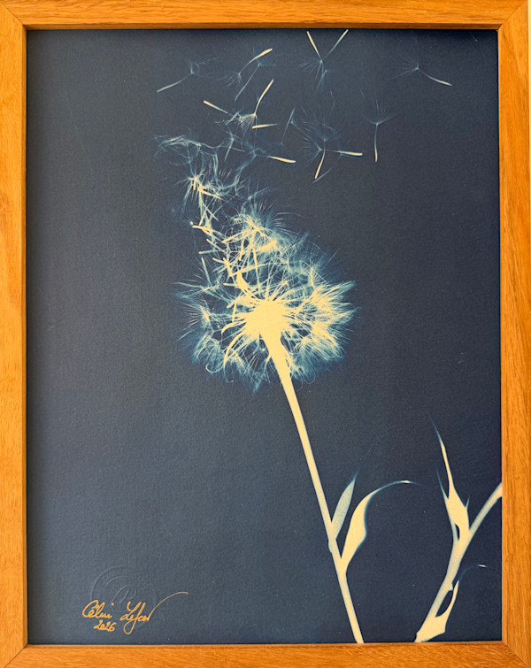 Faire un voeu by CELINE LEFORT, Image 2.