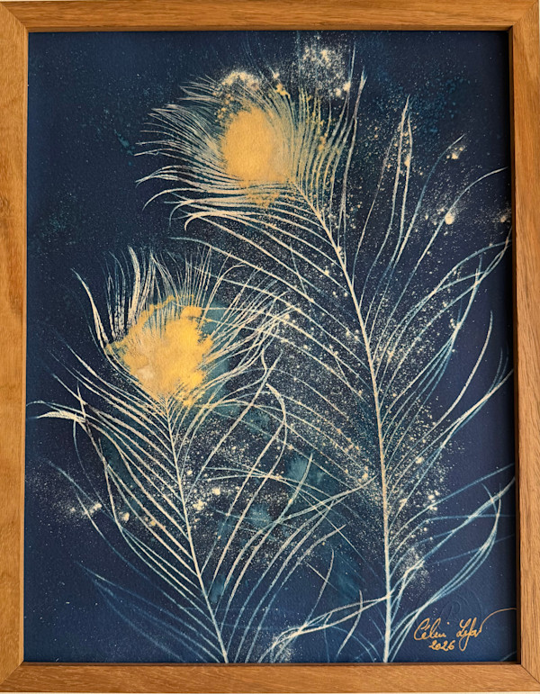 La dance des plumes by CELINE LEFORT, Image 2.