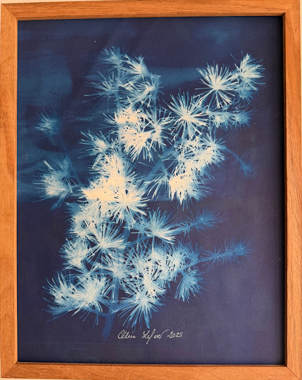 Pine by CELINE LEFORT, Image 3.