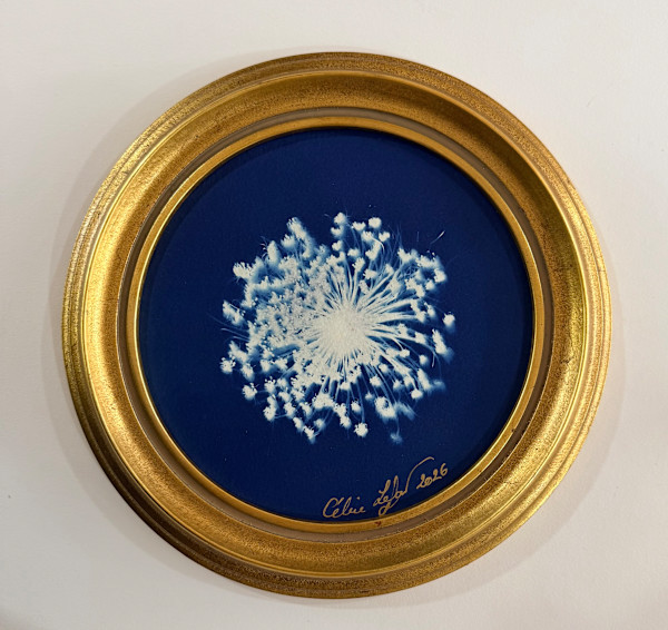 Midnight Lace by CELINE LEFORT, Image 1.