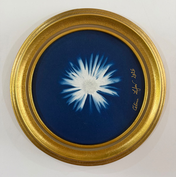 Floraison d'Azur by CELINE LEFORT, Image 1.