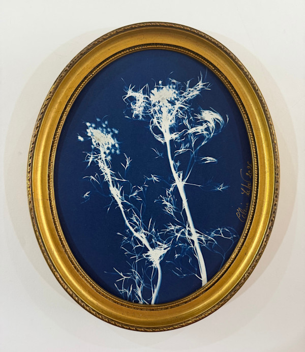 Queen Anne’s Lace (Oval) by CELINE LEFORT, Image 1.