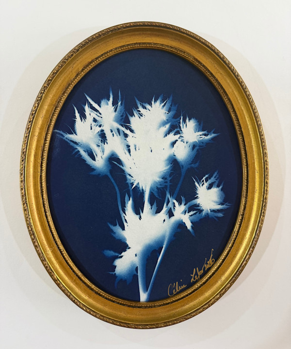 Chardon bleu by CELINE LEFORT, Image 1.