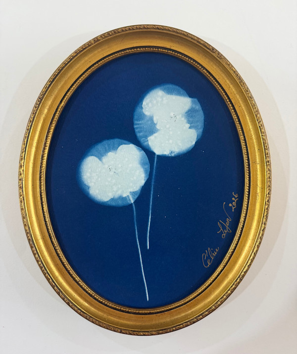 Double poppies (Oval) by CELINE LEFORT, Image 1.