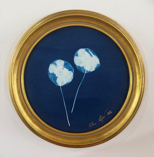 Double Poppies (Round) by CELINE LEFORT, Image 1.
