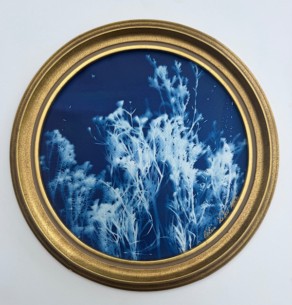 Moon Garden Fynbos (Round) by CELINE LEFORT, Image 1.
