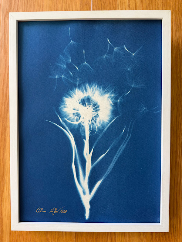 Letting go by CELINE LEFORT, Image 1.