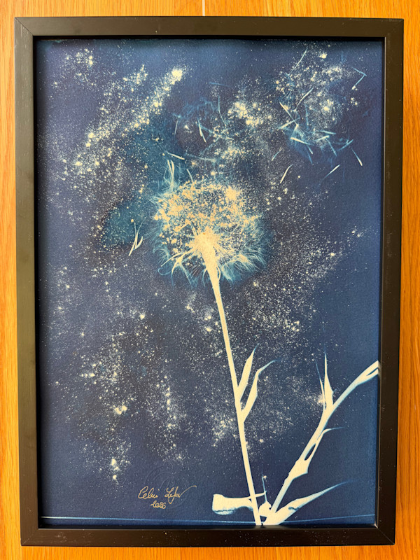 Constellation of a Wish by CELINE LEFORT, Image 1.