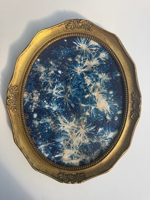 Constellation Sauvage (Oval) by CELINE LEFORT, Image 2.