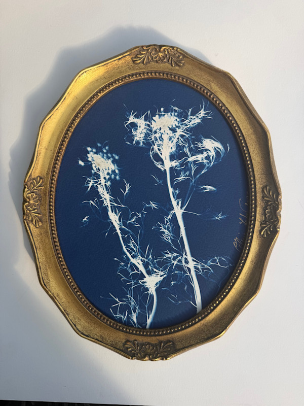 Queen Anne’s Lace (Oval) by CELINE LEFORT, Image 2.