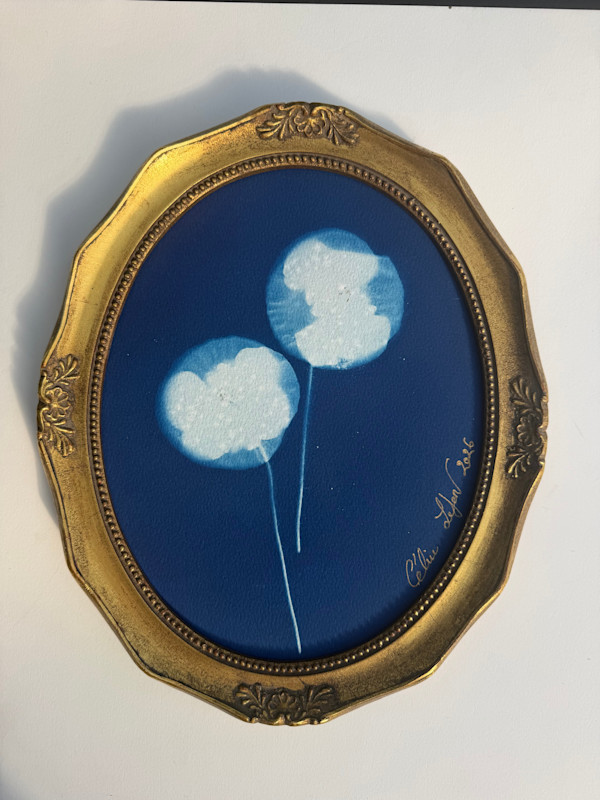 Double poppies (Oval) by CELINE LEFORT, Image 2.