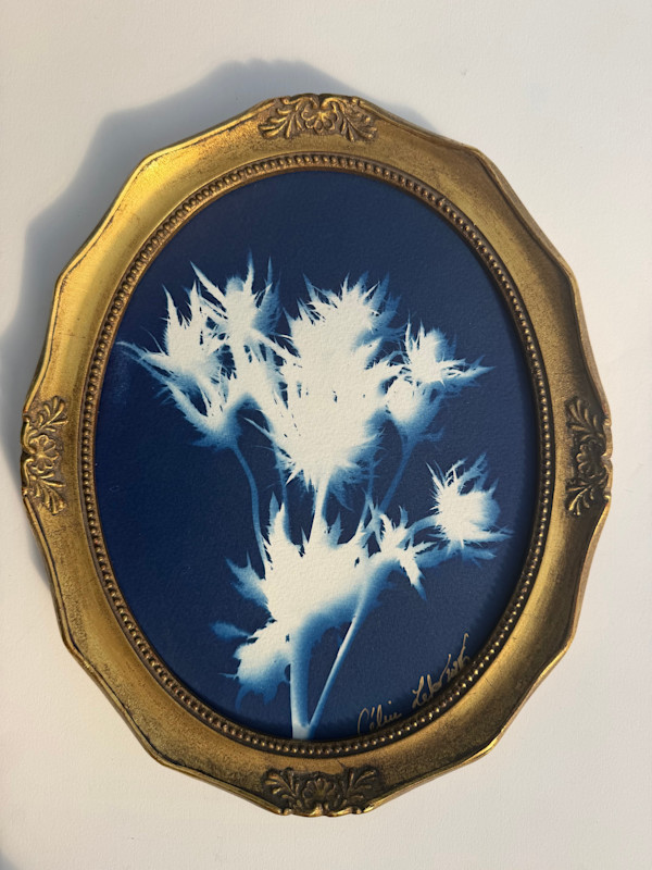 Chardon bleu by CELINE LEFORT, Image 2.