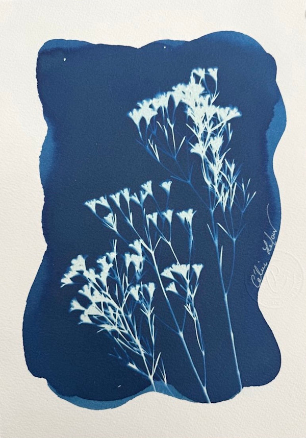 Little Flower 2 by CELINE LEFORT