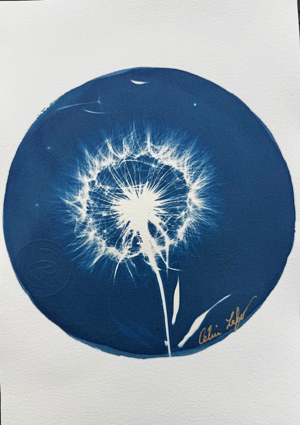 Make a Wish by CELINE LEFORT