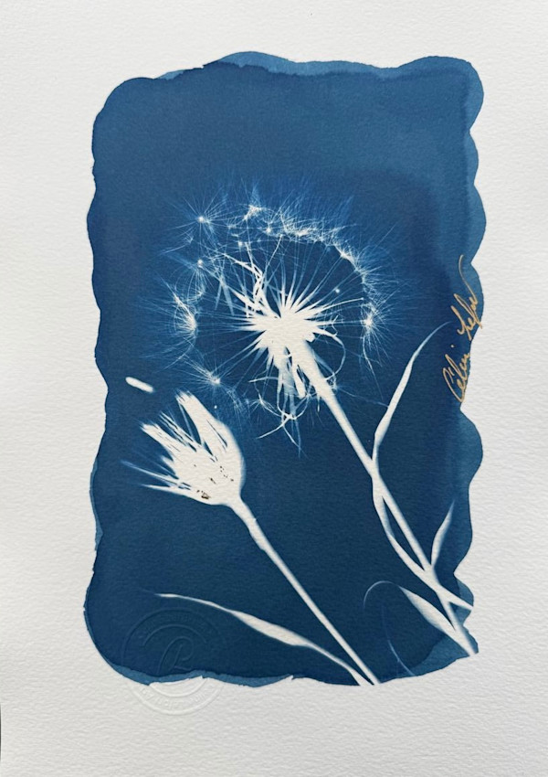 Make a wish by CELINE LEFORT