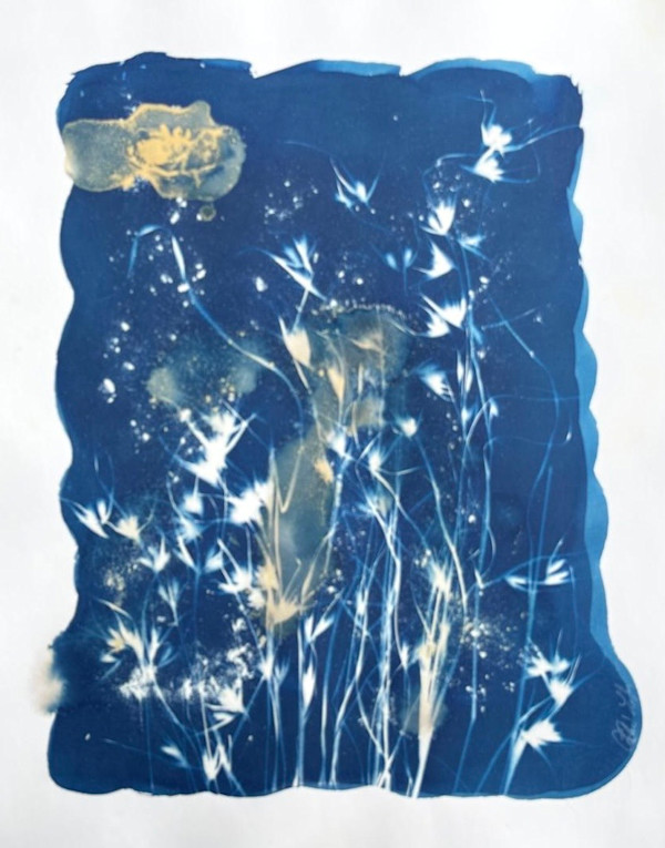 Wild Grass 3 by CELINE LEFORT