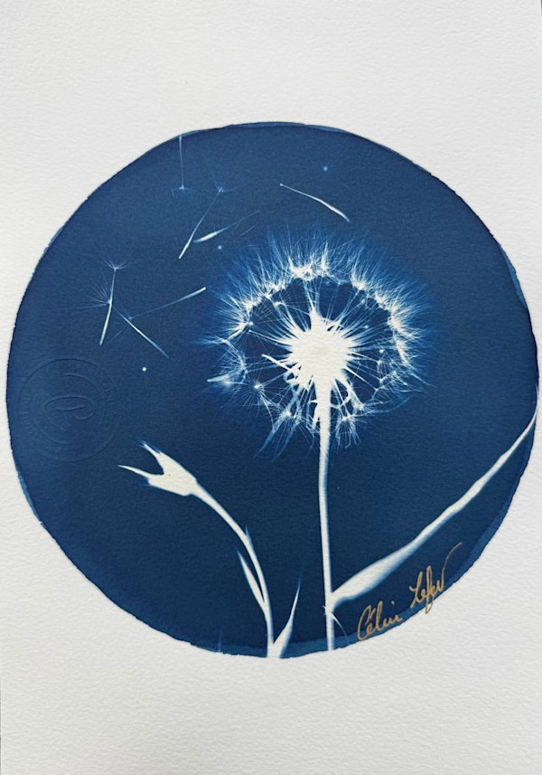 Make a wish by CELINE LEFORT