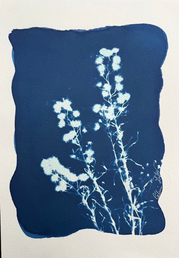 Little Pom-Pom 2 by CELINE LEFORT