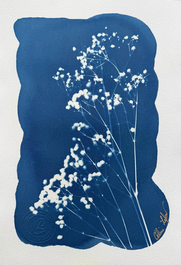 Little flowers / Petite Fleurs by CELINE LEFORT