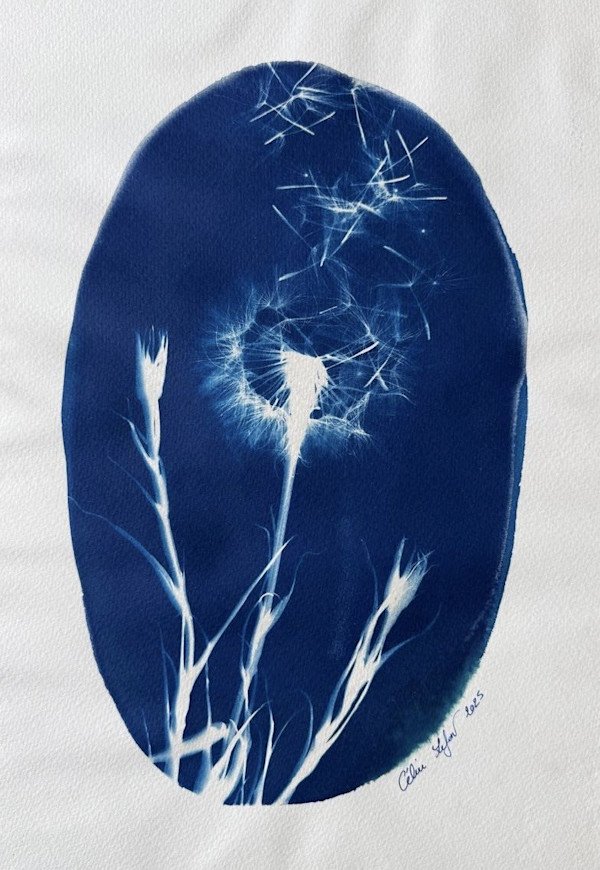 Made a Wish 2 by CELINE LEFORT