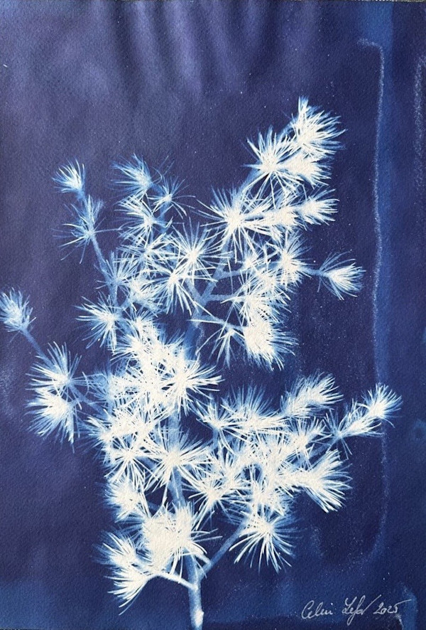 Pine 2 by CELINE LEFORT