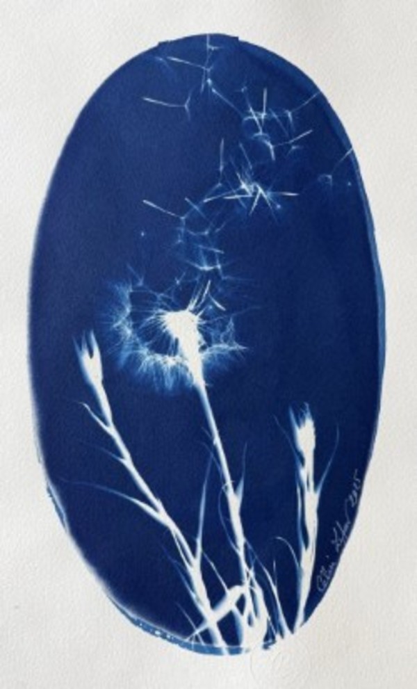 Made a wish 9 by CELINE LEFORT