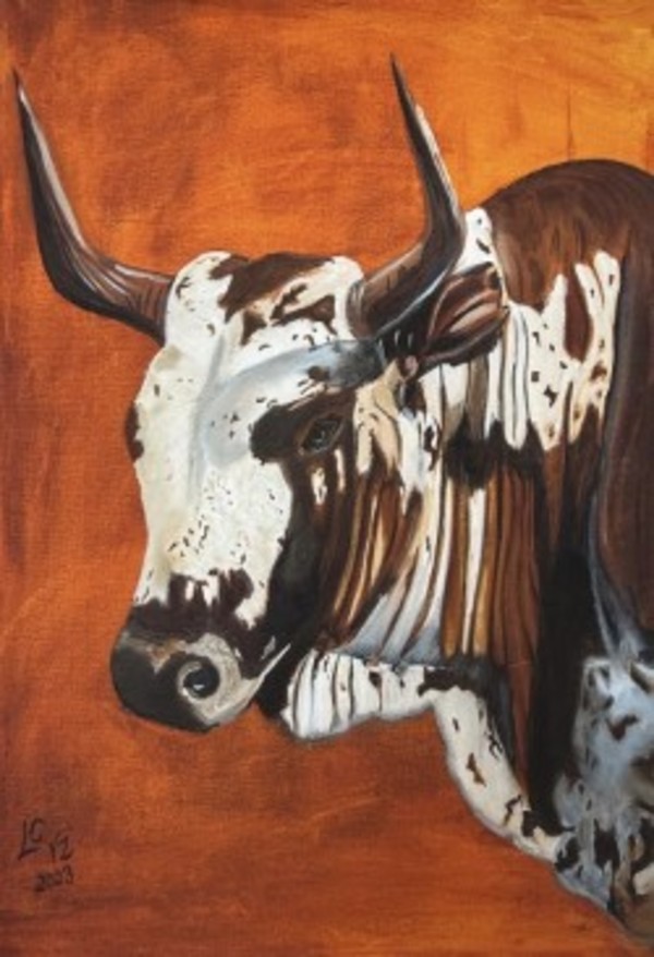 Nguni Cow (Print smaller than original size) by CELINE LEFORT