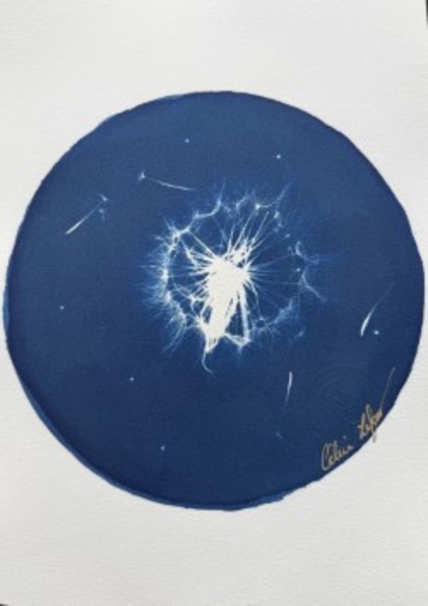 Make a Wish by CELINE LEFORT