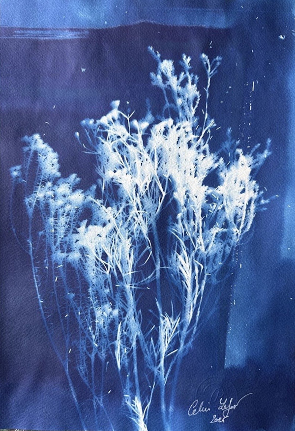 Botanical 7 by CELINE LEFORT