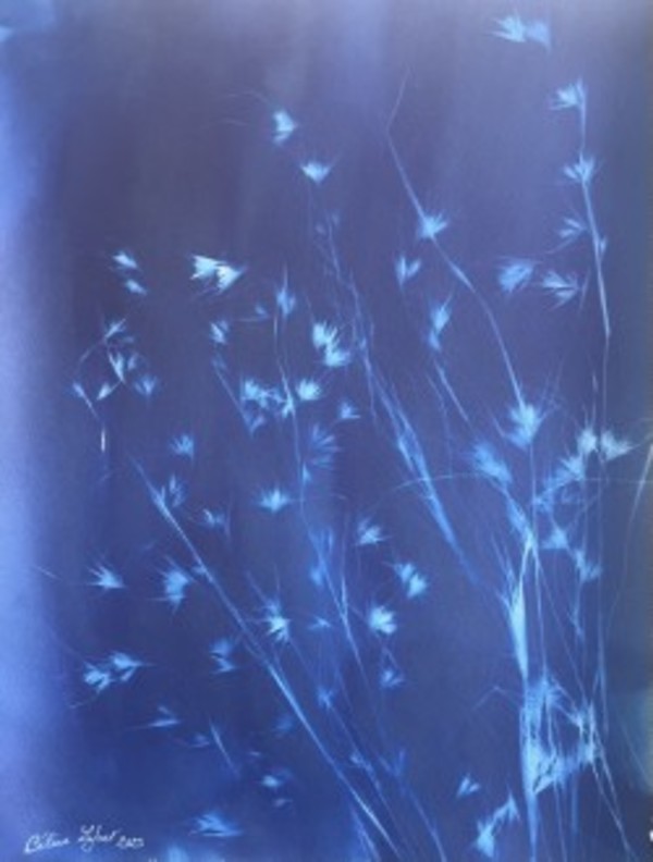 Botanical 1 by CELINE LEFORT