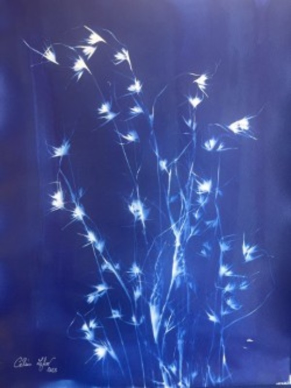 Botanical 3 by CELINE LEFORT