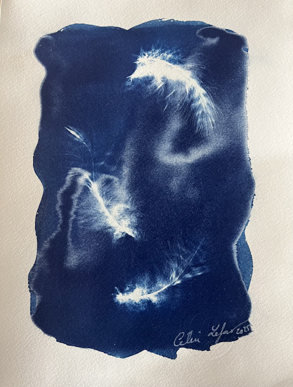 Owl fluff by CELINE LEFORT