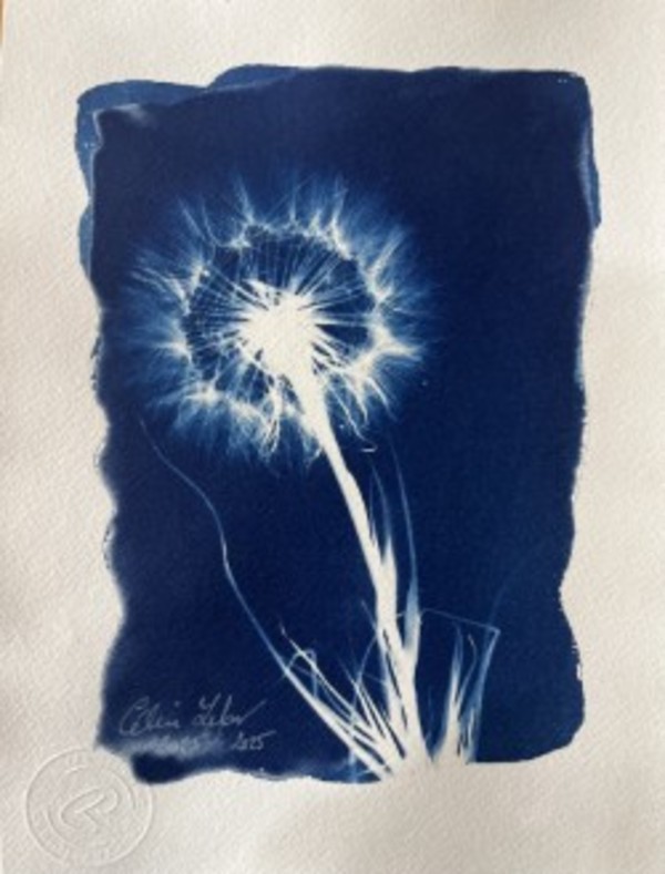 Make a wish by CELINE LEFORT