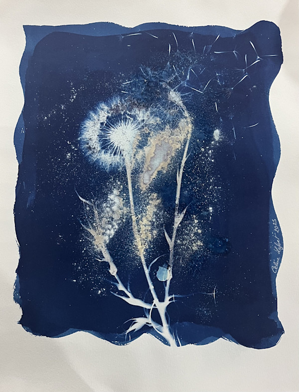 Make a wish 7 by CELINE LEFORT